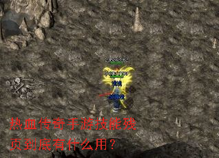 ��Ѫ�������μ��ܲ�ҳ������ʲô�ã�