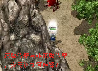 ���洫��������洫�棬���������ѡ��