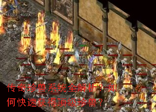 ��������ϵͳȫ��������ο��ٻ�ö������ޣ�