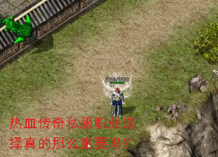 ��Ѫ����˽��ְҵѡ�������ô��Ҫ��