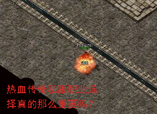 ��Ѫ����˽��ְҵѡ�������ô��Ҫ��