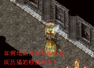 ������Ӵ���˽�������������Ĵ����ű���