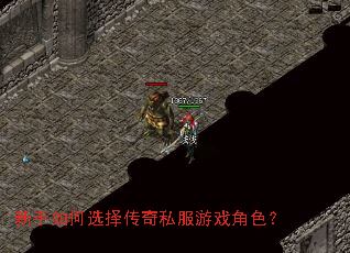 新手如何选择传奇私服游戏角色? 新手如何选择传奇私服游戏角色?