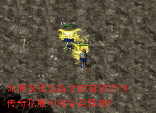 ���ѡ��װ��������Ч���ƴ���˽���еĸ�����