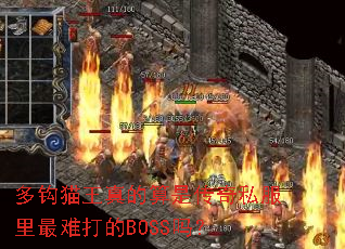 多钩猫王真的算是传奇私服里最难打的BOSS吗? 多钩猫王真的算是传奇私服里最难打的BOSS吗?