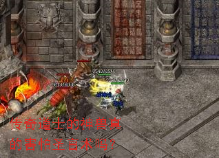 �����ʿ��������ĺ���ʥ������