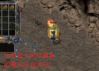 �����ʿ��������ĺ���ʥ������