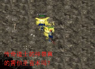 �����ʿ��������ĺ���ʥ������