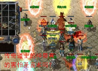 �����ʿ��������ĺ���ʥ������