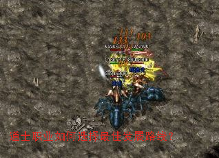 ��ʿְҵ���ѡ����ѷ�չ·�ߣ�