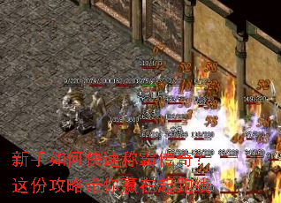 ������ο��ٳưԴ��棿��ݹ��Դ���Ӯ��������