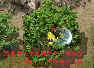 热血传奇手机版能否再创辉煌?玩家内心挣扎与期待全解析 热血传奇手机版能否再创辉煌?玩家内心挣扎与期待全解析