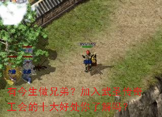 �н������ֵܣ�������ʥ���湤���ʮ��ô����˽���