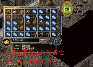 如何让宠物成为你冒险旅途中最信赖的伙伴? 如何让宠物成为你冒险旅途中最信赖的伙伴?