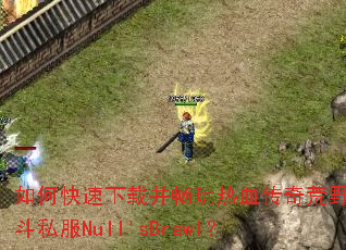 ��ο������ز�������Ѫ�����Ұ�Ҷ�˽��Null'sBrawl��