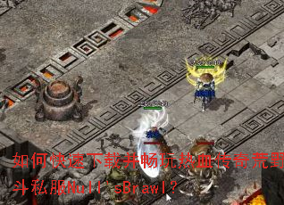 ��ο������ز�������Ѫ�����Ұ�Ҷ�˽��Null'sBrawl��