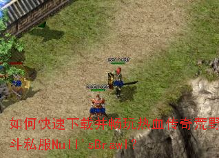 ��ο������ز�������Ѫ�����Ұ�Ҷ�˽��Null'sBrawl��