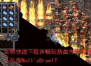 ��ο������ز�������Ѫ�����Ұ�Ҷ�˽��Null'sBrawl��