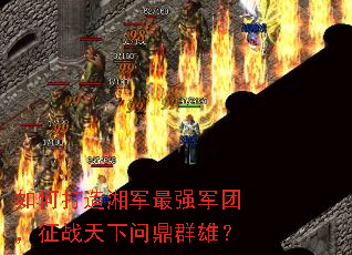 ��δ��������ǿ���ţ���ս�����ʶ�Ⱥ�ۣ�