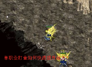 ��ְҵ�����ο�������ս����