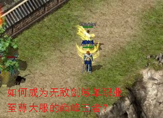 ��γ�Ϊ�޵н���ְҵ���������۷����ߣ�