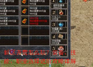 ����������ô�棿װ�������ܡ�ְҵѡ����׹������