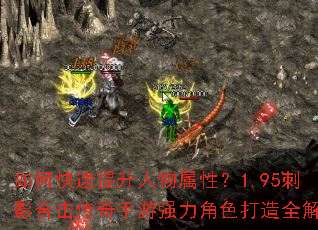 ��ο��������������ԣ�1.95��Ӱ�ϻ���������ǿ����ɫ����ȫ����