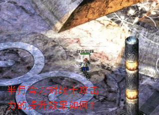 �����䵶��սʿ������������Ч����Σ�