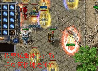 ����˽���⴫��������ο��ٽ��ף�