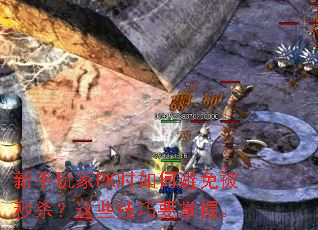 �������PKʱ��α��ⱻ��ɱ����Щ����Ҫ���ա�