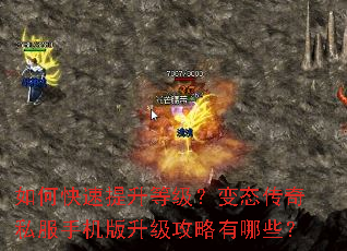 ��ο��������ȼ�����̬����˽���ֻ���������������Щ��