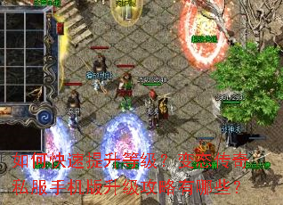 ��ο��������ȼ�����̬����˽���ֻ���������������Щ��