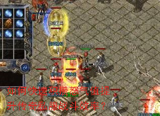 ��ο��ٻ���ŭ��ֵ��������˽��ս��Ч�ʣ�