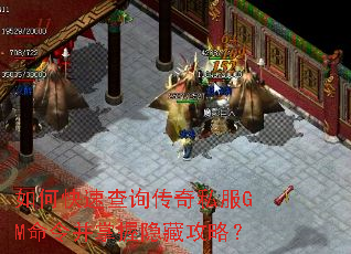 ��ο��ٲ�ѯ����˽��GM����������ع��ԣ�