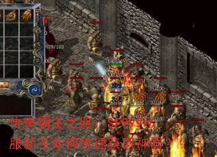 传奇霸主之路:SF999私服新手如何快速获取神器? 传奇霸主之路:SF999私服新手如何快速获取神器?