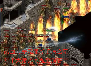 ��Ѫ����˽��������ô�棿ʮ�󳣼�����ȫ���