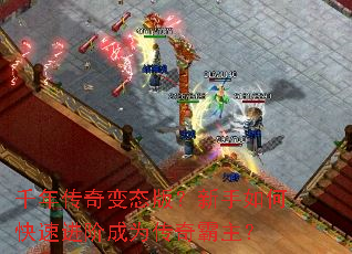 ǧ�괫���̬�棿������ο��ٽ��׳�Ϊ���������