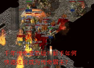 ǧ�괫���̬�棿������ο��ٽ��׳�Ϊ���������