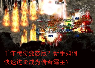 ǧ�괫���̬�棿������ο��ٽ��׳�Ϊ���������