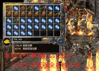 ��ְҵ�񱬳�Boss��ô��ɳ����������ȫ�����ڴ�