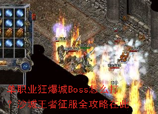 ��ְҵ�񱬳�Boss��ô��ɳ����������ȫ�����ڴ�