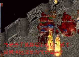 ��������ƽ����ô�棿������ο��ٳɳ�Ϊ���������