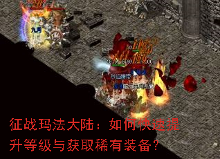 征战玛法大陆:如何快速提升等级与获取稀有装备? 征战玛法大陆:如何快速提升等级与获取稀有装备?