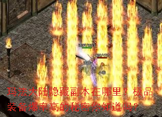 �귨��½���ظ����������Ʒװ�����ʸߵ�������֪����