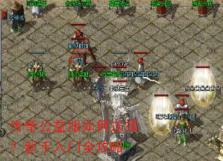 ���湫������ѡ����������ȫ����