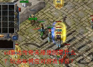 sd�Ҵﴫ��ط�ԭ����ʲô��������Ӧ����Ϸͣ�ˣ�