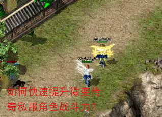 如何快速提升微变传奇私服角色战斗力? 如何快速提升微变传奇私服角色战斗力?
