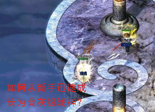 如何从新手迅速成长为骨灰级战神? 如何从新手迅速成长为骨灰级战神?
