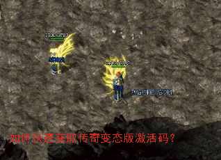 ��ο��ٻ�ȡ�����̬�漤���룿