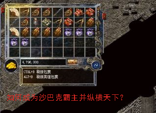 ��γ�Ϊɳ�Ϳ˰������ݺ����£�